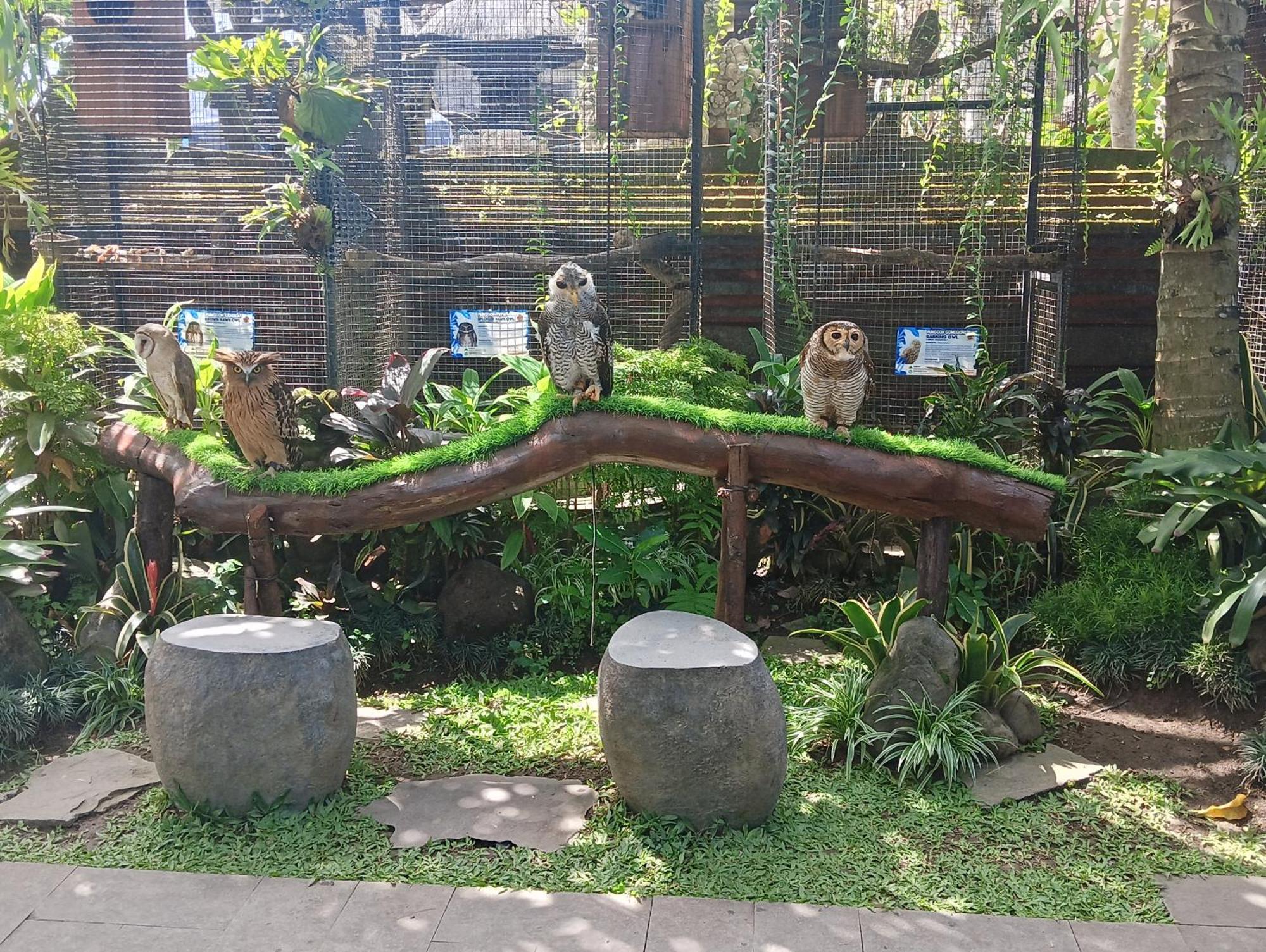 Hotel Liyer Spirit House Ubud Exteriér fotografie